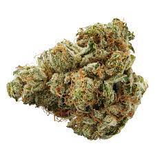 Pink Kush - Top Leaf - Pink Kush 3.5g Dried Flower